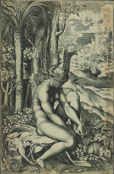 Venus Wounded by a Rose